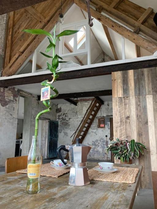 Schuurloft Hof Ten Bogaerde Met Biozwembad, Veldzicht & Uilennest Jabbeke  Exterior foto